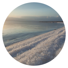 The Shores of the Dead Sea